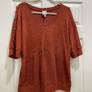 Warm Rust V-Neck Knit Sweater
